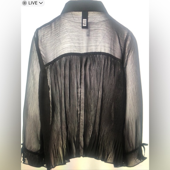BLACK Pleated Sheer Poet-Sleeve Top (NWT-New!) - Picture 3 of 4